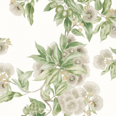 Anna French Camellia Garden Wallpaper in Spring on White